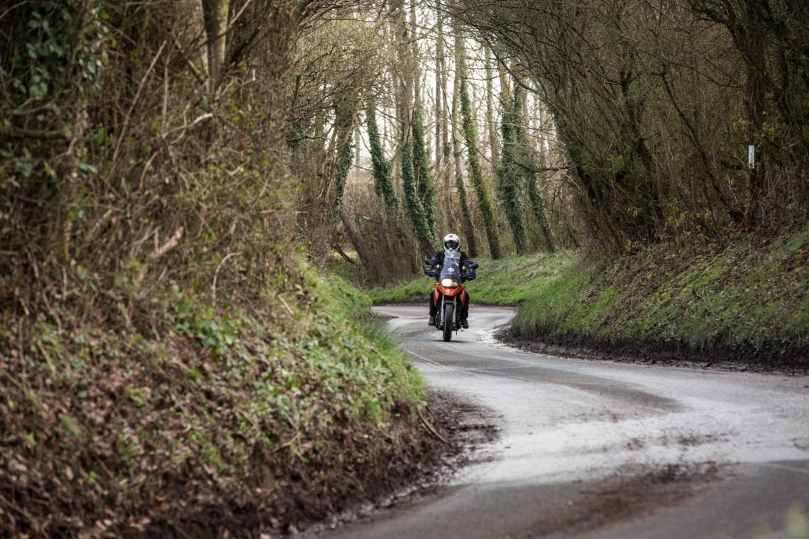 Through the forest